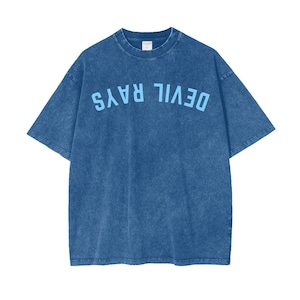 May include: A blue denim t-shirt with a light blue graphic that reads "DEVIL RAYS" in a backwards arc.