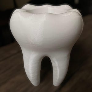 Puede incluir: Una maceta blanca con forma de diente y borde festoneado. La maceta tiene un interior hueco y dos estructuras en forma de raíz en la base. La superficie tiene sutiles líneas verticales, dándole un aspecto texturizado. Diseñada para plantas pequeñas.