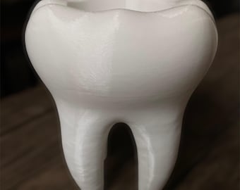 Mini maceta suculenta con forma de diente - Maceta pequeña para plantas molares para dentistas e higienistas, linda decoración de escritorio, PETG para interiores y exteriores.