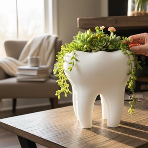 Molar Tooth Planter with Self-Draining Design - Quirky Indoor & Outdoor Plant Pot, Gift for Plant Lovers dentists dental labubu trending