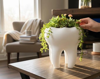 Maceta para muelas con diseño autodrenante: original maceta para interior y exterior, regalo para amantes de las plantas. Dentistas, dentistas, labubu, tendencias.