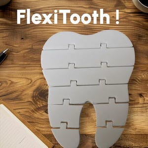 Flexi Tooth Fidget Toy - Articulated Tooth for Dental Offices, Dentist Desk Decor or Gift, Fun Desk Toy for Hygienists & Assistants