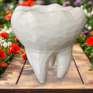 Low Poly Tooth Planter - Modern Molar Plant Pot for Dentists & Hygienists, PETG Decor for Indoor or Outdoor Use, Dental Office Gift