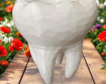 Maceta dental de baja poligonalidad: maceta moderna para plantas molares, ideal para dentistas e higienistas dentales. Decoración de PETG para uso interior o exterior. Regalo perfecto para consultorios dentales.