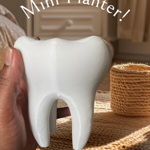 Mini Tooth Succulent Planter - Small Molar Plant Pot for Dentists & Hygienists, Cute Desk Decor, PETG Indoor/Outdoor Gift