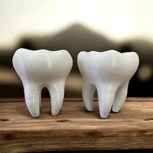 Duża doniczka na ząb trzonowy z samoodpływową konstrukcją - oryginalna doniczka do użytku wewnątrz i na zewnątrz, prezent dla miłośników roślin dentyści trendy stomatologiczne