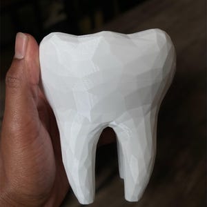 Mini Low Poly Tooth Succulent Planter - Small Molar Plant Pot for Dentists & Hygienists, Cute Desk Decor, PETG Indoor/Outdoor Gift