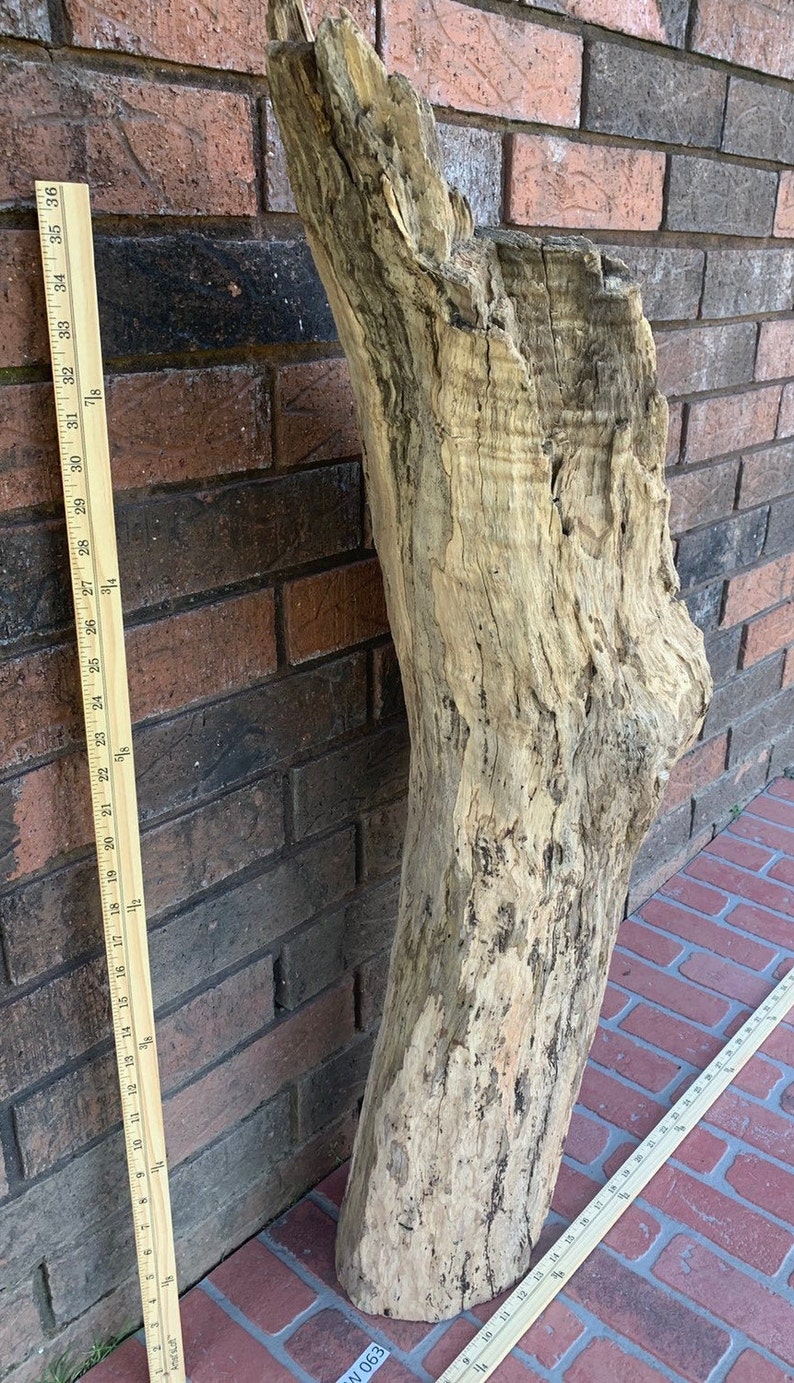 large fresh water drift wood large fresh water drift wood