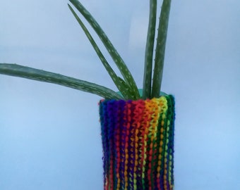Plant + Cozy Plant Rainbow Pouch Set Knit Pot Cover Home Grown Aloe Vera Plant Cozy Plant Pouch Handknit Pot Cover Handmade Pot Cover