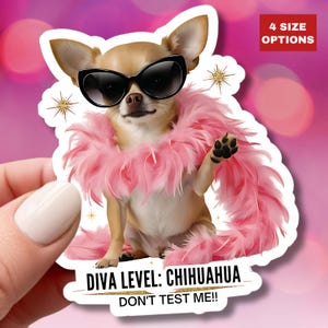 Chihuahua Diva Hundeaufkleber Lustiger kleiner Hund Vinyl Aufkleber rosa Federboa Glam Haustierliebhaber Geschenk wasserdichter Tierwitze frecher Welpe Accessoire Geschenk