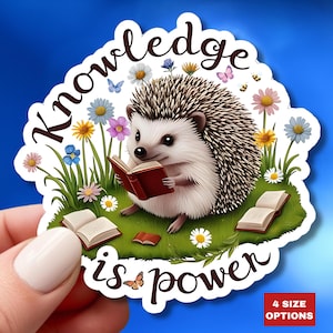 Wissen ist Macht Aufkleber Lehrer Wertschätzung Geschenk Buchliebhaber Igel Aufkleber Natur inspiriert Aufkleber Laptop Planer Schule Lesung