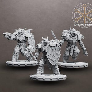 Dragon Knights Veterans – Battle-Hardened Infantry Miniature Kit for Sci-Fi Fantasy Wargames, TTRPG Armies & Kitbashing | Atlan Forge
