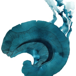 Può includere: Dipinto ad acquerello astratto nei toni del verde acqua e turchese. L'opera presenta una forma organica a spirale con dettagli strutturati e una qualità fluida ed eterea. Lo sfondo è bianco.