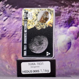 Discover NWA 7831 Diogenite Meteorite – A Rare Treasure from the Depths of Space, Certified and Authentic