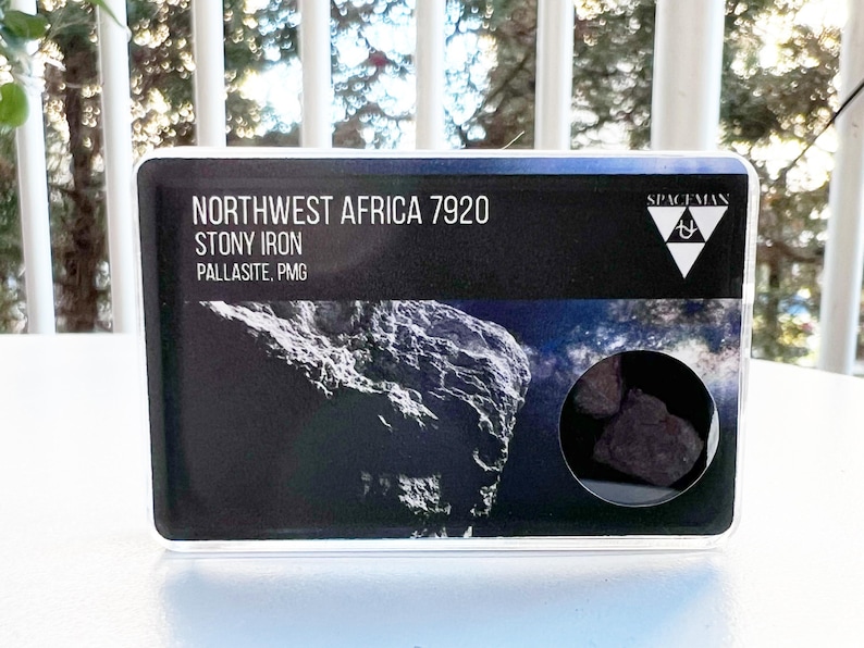 Northwest Africa NWA 7920 Pallasitemeteorite,certified,spacecollector ...