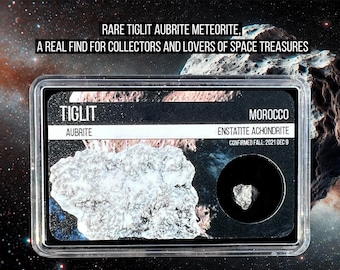 May include: A close-up of a Tiglit Aubrite meteorite, a rare find for collectors. The meteorite is encased in a black display case with a white label that reads "Tiglit Aubrite" and "Morocco Enstatite Achondrite". The label also includes the date "Confirmed Fall: 2021 Dec 9".