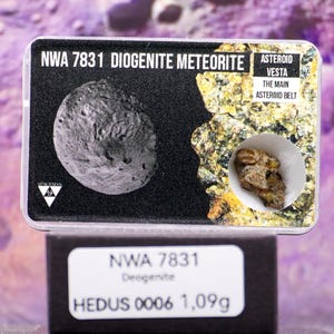 Discover NWA 7831 Diogenite Meteorite – A Rare Treasure from the Depths of Space, Certified and Authentic