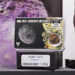 Discover NWA 7831 Diogenite Meteorite – A Rare Treasure from the Depths of Space, Certified and Authentic