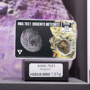 Authentic NWA 7831 Diogenite Meteorite – Own a Unique Fragment of Our Solar System’s History
