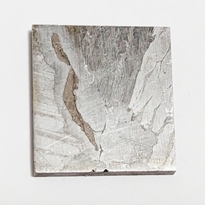 Seymchan Meteorite Slice – Rare Iron from the Edge of Space, Etched with Natural Crystal Patterns!