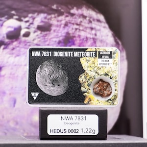 Discover NWA 7831 Diogenite Meteorite – A Rare Treasure from the Depths of Space, Certified and Authentic