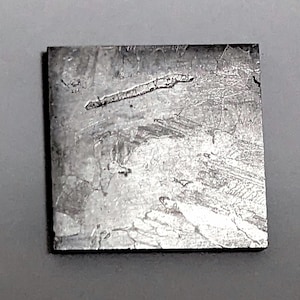 Billion-Year-Old Beauty – Seymchan Iron Meteorite Etched to Reveal Interstellar Geometry!