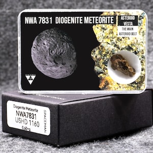 NWA 7831 Diogenite Meteorite ,Rare Vesta Asteroid Fragment, Certified and Authentic