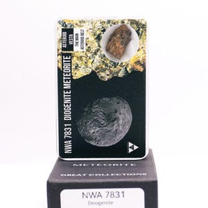NWA 7831 Diogenite Meteorite – Rare Piece from Asteroid Vesta, Certified Cosmic Treasure for Collectors