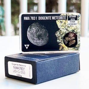 Discover NWA 7831 Diogenite Meteorite – A Rare Treasure from the Depths of Space, Certified and Authentic