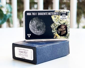 Discover NWA 7831 Diogenite Meteorite – A Rare Treasure from the Depths of Space, Certified and Authentic