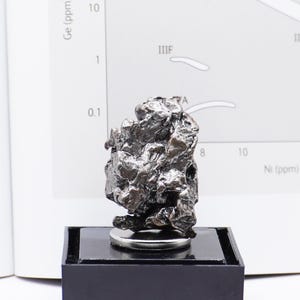 Authentic Campo del Cielo Meteorite | Certified Space Rock from Argentina | Genuine Meteorite in Display Box | Unique Gift for Space Lovers