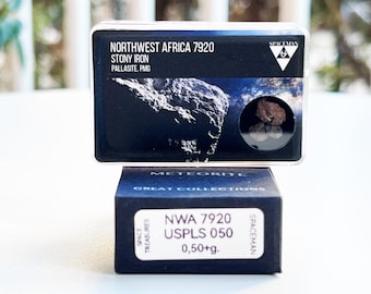 May include: A small black box with a label that reads "NWA 7920 USPLS 050 0,50+g."  The box is labeled "Spaceman" and "Space Treasures."  The box is sitting on top of a larger black box with a label that reads "Northwest Africa 7920 Stony Iron Pallasite, PMG."  The larger box is labeled "Meteorite Great Collections."