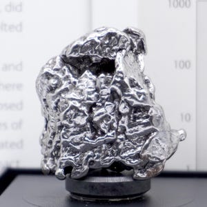 May include: A metallic, silver-coloured iron meteorite specimen with a highly irregular, pitted, and textured surface. The object is mounted on a small, circular black base, displaying a complex, rugged topography with deep crevices and reflective ridges.