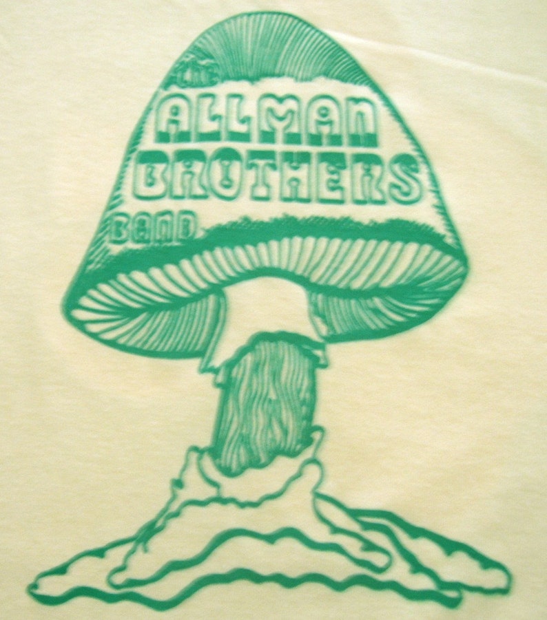 Vintage 1970's Allman Brothers Band Iron on Transfer Etsy