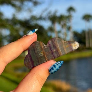 May include: A cloud-shaped crystal with purple, brown, and gold hues. The polished stone is held up against a blurred background of green grass, a lake, and palm trees. The crystal is a unique decorative item.