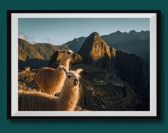 Real Photo, Machu Picchu Photo Print, Machu Picchu Wall Art Decor, Machu Picchu Photography, Machu Picchu Travel Poster, Alpaca Wall Art