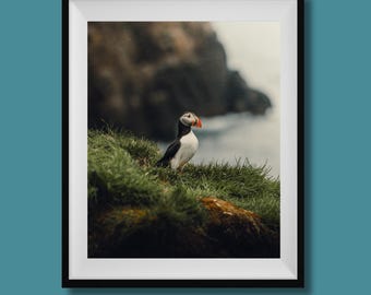 パフィンの顔 - Etsy 日本