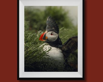 パフィンの顔 - Etsy 日本