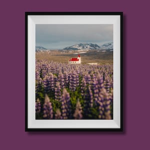 Ingjaldsholl Church Iceland Print, Iceland Church Photo, Iceland Wall Art, Iceland Travel Poster, Iceland Lupine Photo, Iceland Wall Decor