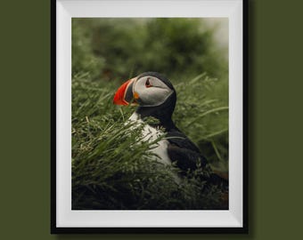 パフィンの顔 - Etsy 日本