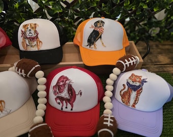 Handpainted / Decoupage Trucker Hats - college - Mississippi, Tennessee, Arkansas, Louisiana, etc ..