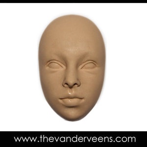 May include: A close-up of a beige plaster face mold. The mold is smooth and has a realistic appearance.