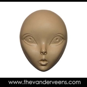 Mold No.179 (Face-High cheekbone with BIGGER eyes) by Veronica jeong image 1