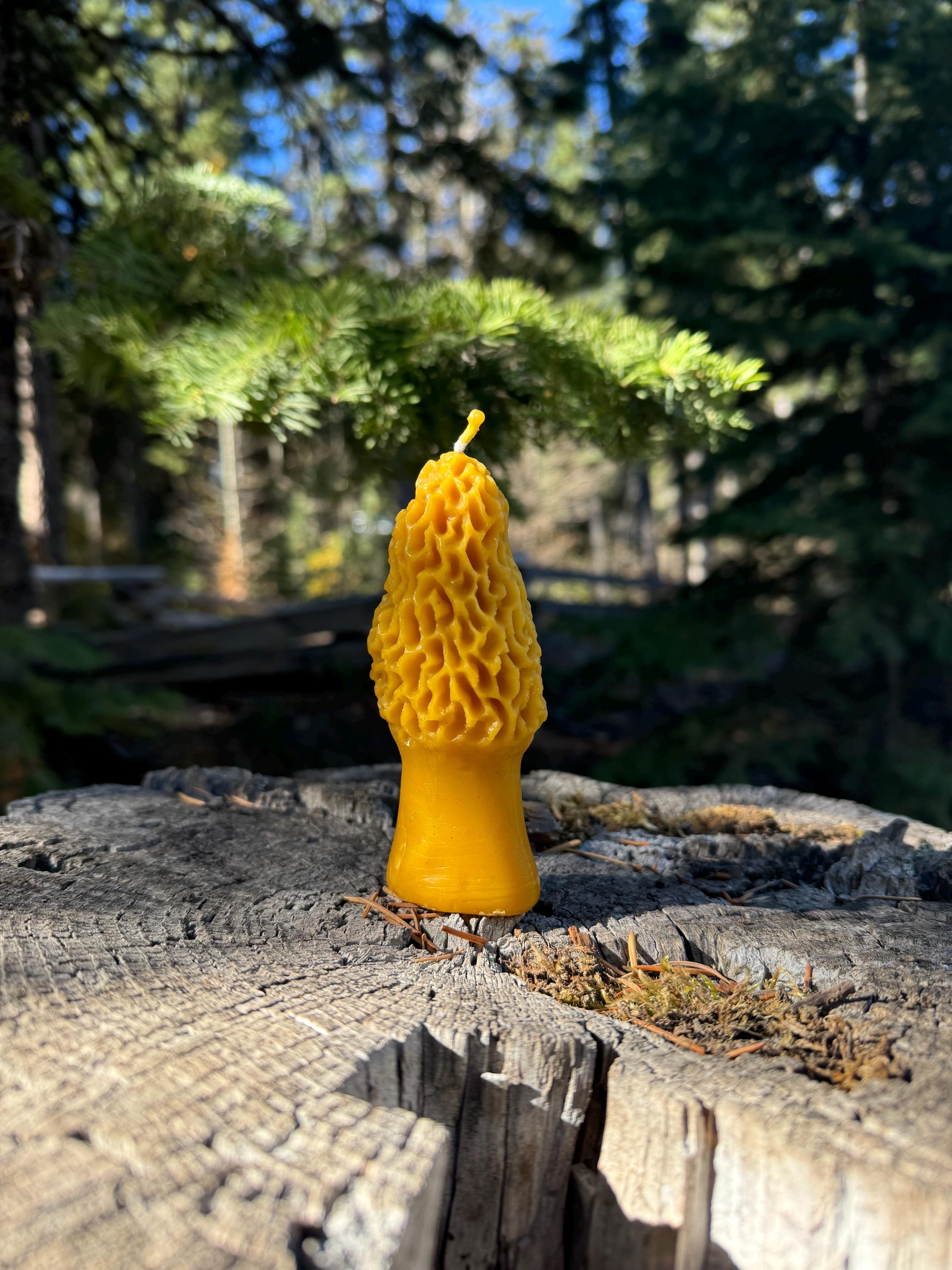 Beeswax Morel Mushroom Candle : Large