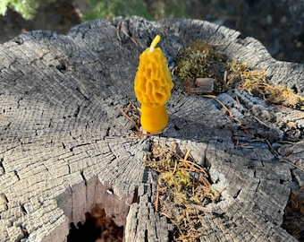 Beeswax Morel Mushroom Candle : Mini