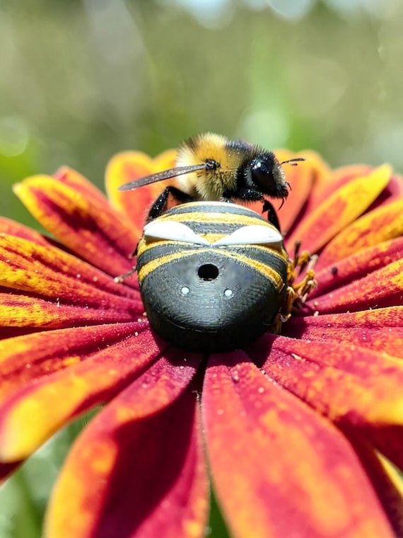 Nature: Bumblebee CGM Cover Compatible with Dexcom G7 or Stelo
