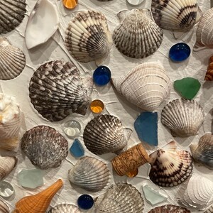 May include: A white background with a variety of seashells, including scallop shells, conch shells, and other types of shells. There are also small glass beads in various colors, including blue, green, and orange.