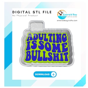 Archivo STL de Freshie BS para adultos, pieza en blanco de Freshie, carcasa de molde, impresión 3D, descarga digital