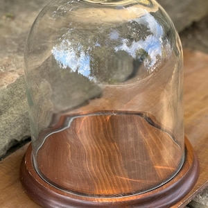 Vintage Bubble Glass Dome Cloche With Wood Base