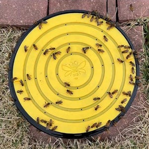 May include: A yellow bee trap with a black rim, covered in bees. The trap has a circular design with concentric rings and a bee graphic in the center. The trap is placed on grass and brick.